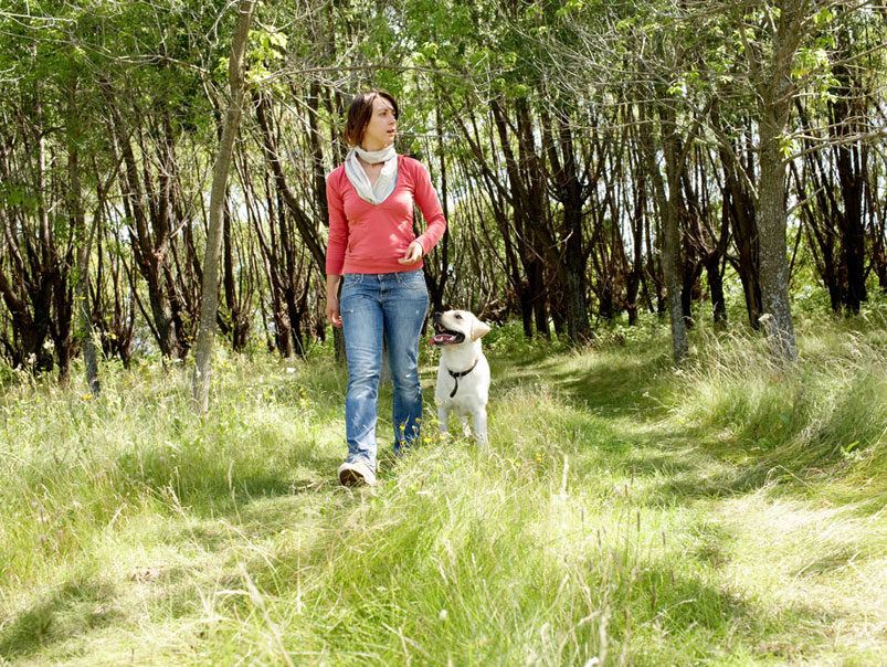 Woman Walking Dog